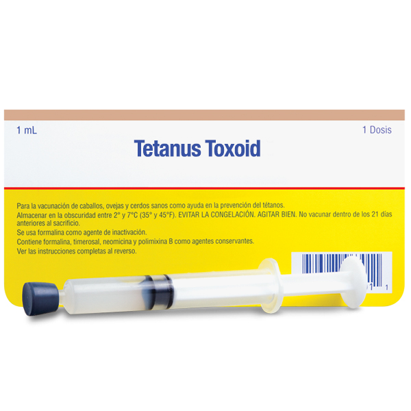 Tetanus Toxoid