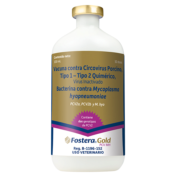 Fostera® Gold PCV MH