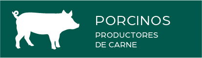 Porcinos_productores_de_carne_RGB_01_mirmBA