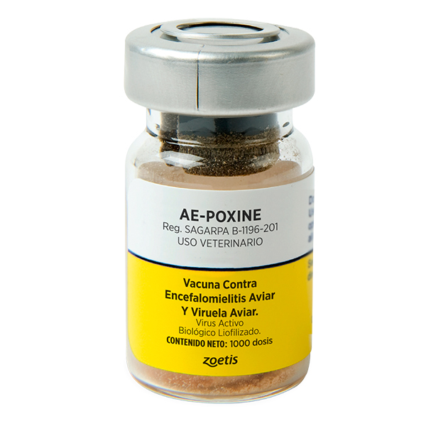 AE Poxine