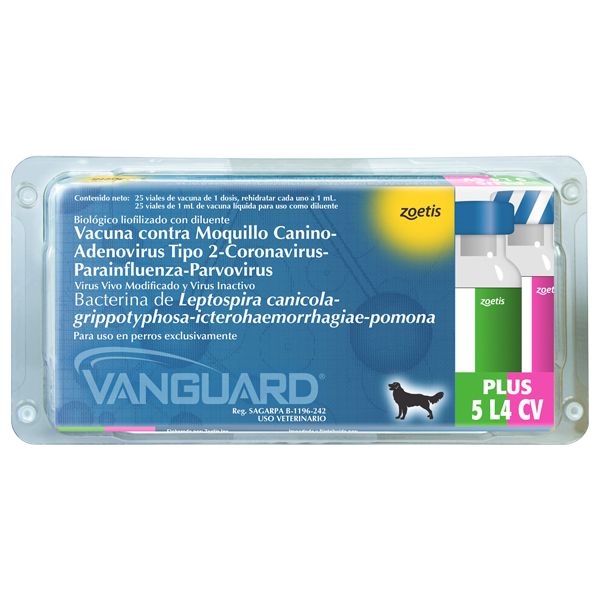 Vanguard Plus 5 L4 CV