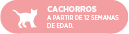 Uso en gatos cachorros a partir de las 12 semanas de edad.