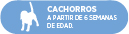 Uso en chachorros a partir de 6 semanas de edad.